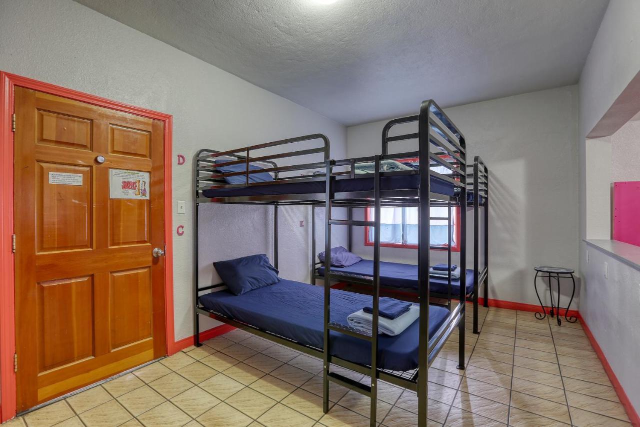Sin City Hostel Las Vegas Dış mekan fotoğraf